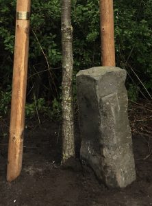 Basaltblock der Aktion "7000 Eichen" von Joseph Beuys, Standort: bei Oldenburg